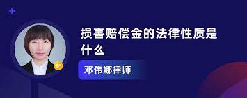 1号站注册平台下载, 1号站怎么注册的,