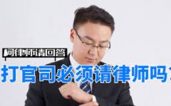 <b>1号站打官司一定要请律师吗？</b>